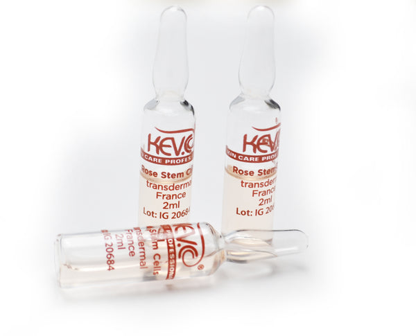 Rose Stem Cell Ampoules – KEV.C SKIN CARE