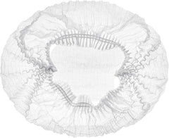 Disposable Hair Nets / Caps (100 pack)